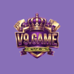 V9 Game